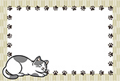 シンプルな猫のポストカード-3