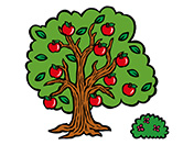 りんごの木のイラスト