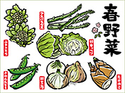 春野菜素材