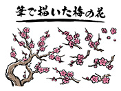 筆素材-9（筆で描いた梅の花）
