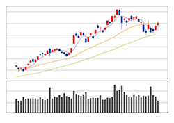 株価チャート-1（A4横）