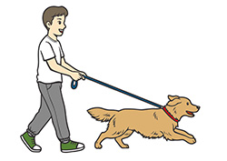 飼い犬の散歩をする男性