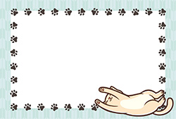 シンプルな猫のポストカード-2