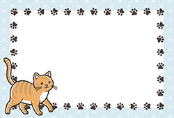 シンプルな猫のポストカード-7