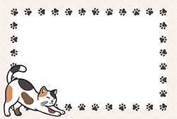 シンプルな猫のポストカード-8