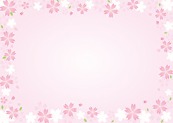 シンプルな桜のフレーム-1（A4横）