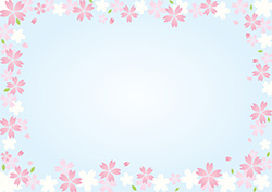 シンプルな桜のフレーム-2（A4横）