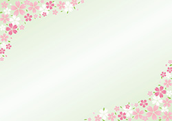 シンプルな桜のフレーム-8（A4横）