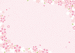 シンプルな桜のフレーム-13（A4横）