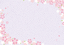 シンプルな桜のフレーム-16（A4横）