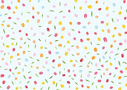 チューリップの背景-3（A4横）