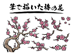 筆素材-9(筆で描いた梅の花)