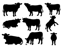 牛のシルエット-1