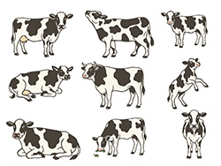 牛の手描きイラストセット-1