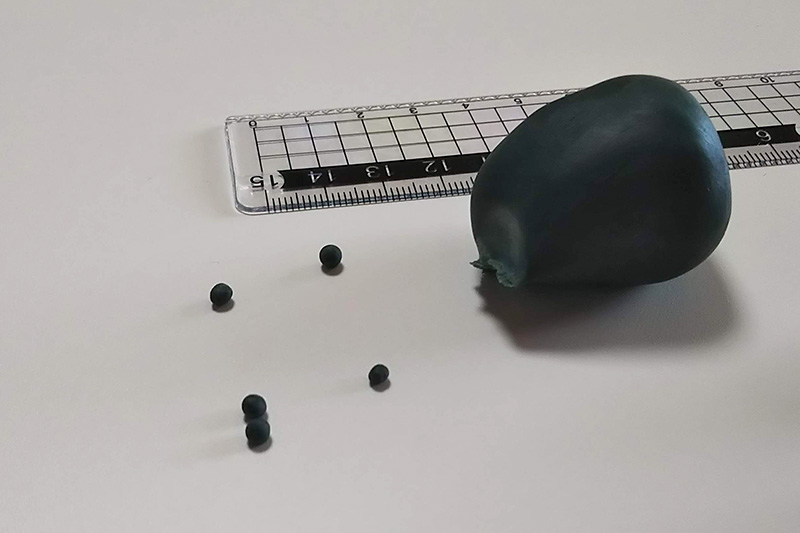 遠くから見ると普通にみえる