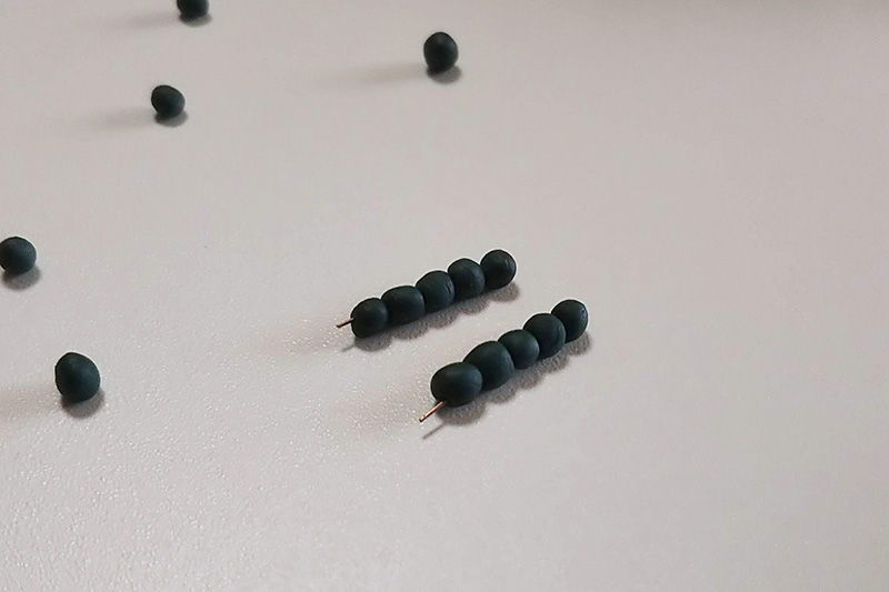 色が濃いので蟻にみえる